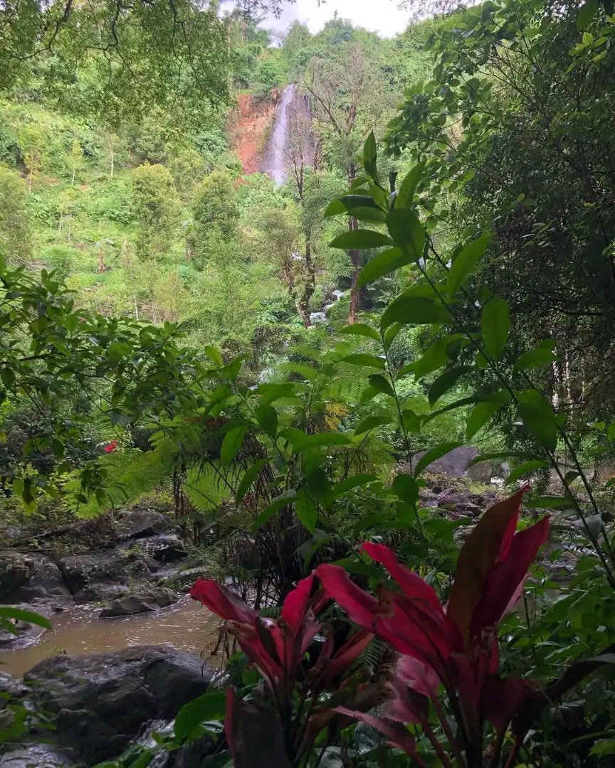 Bali itinerary for 