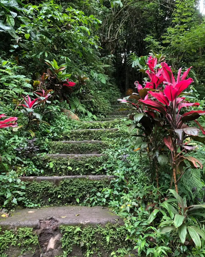 Bali itinerary for 