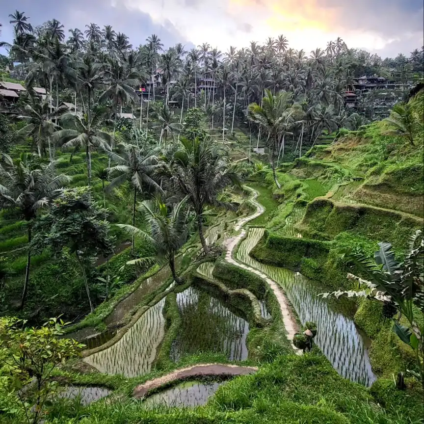 Bali itinerary for 