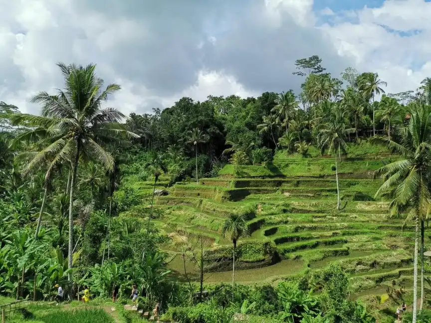Bali itinerary for 