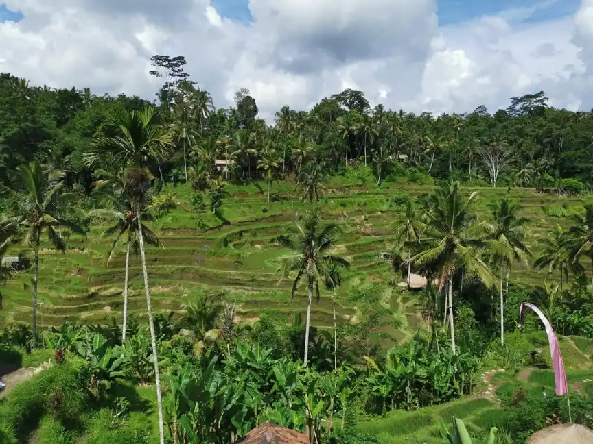 Bali itinerary for 