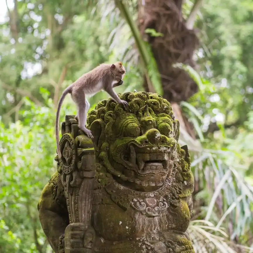 Bali itinerary for 
